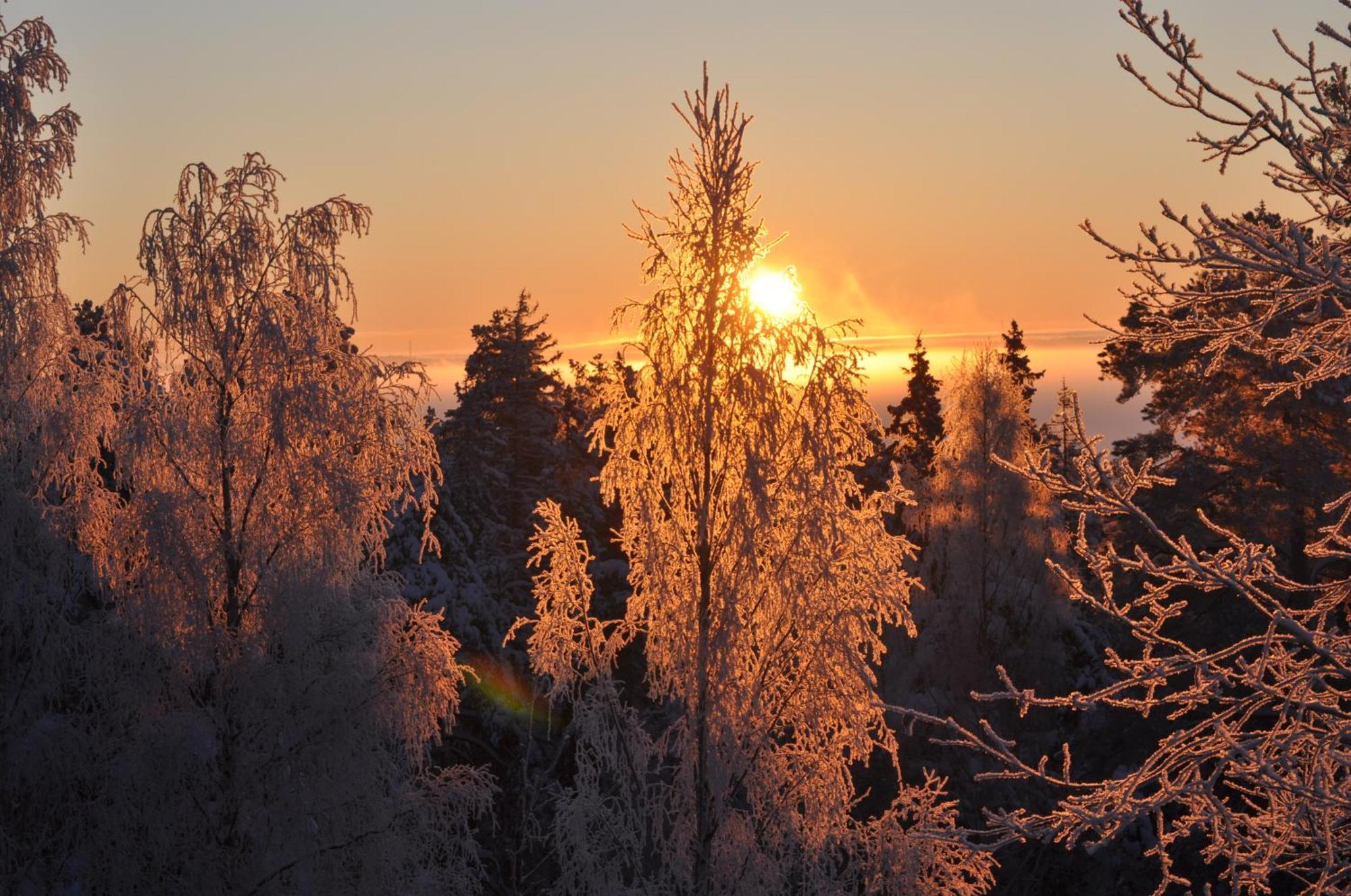Vaihmalan Hovi Hotel Lempäälä Kültér fotó